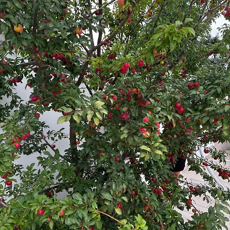 Le Biancasette * Porto Cesareo