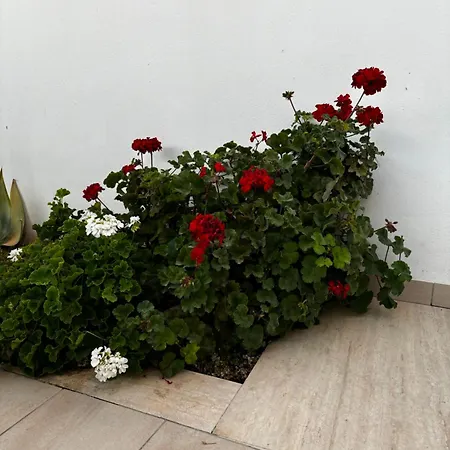 Apartament Le Biancasette