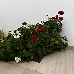 Appartement Le Biancasette