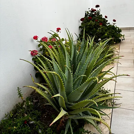 Marcochiaralastrea Apartment *